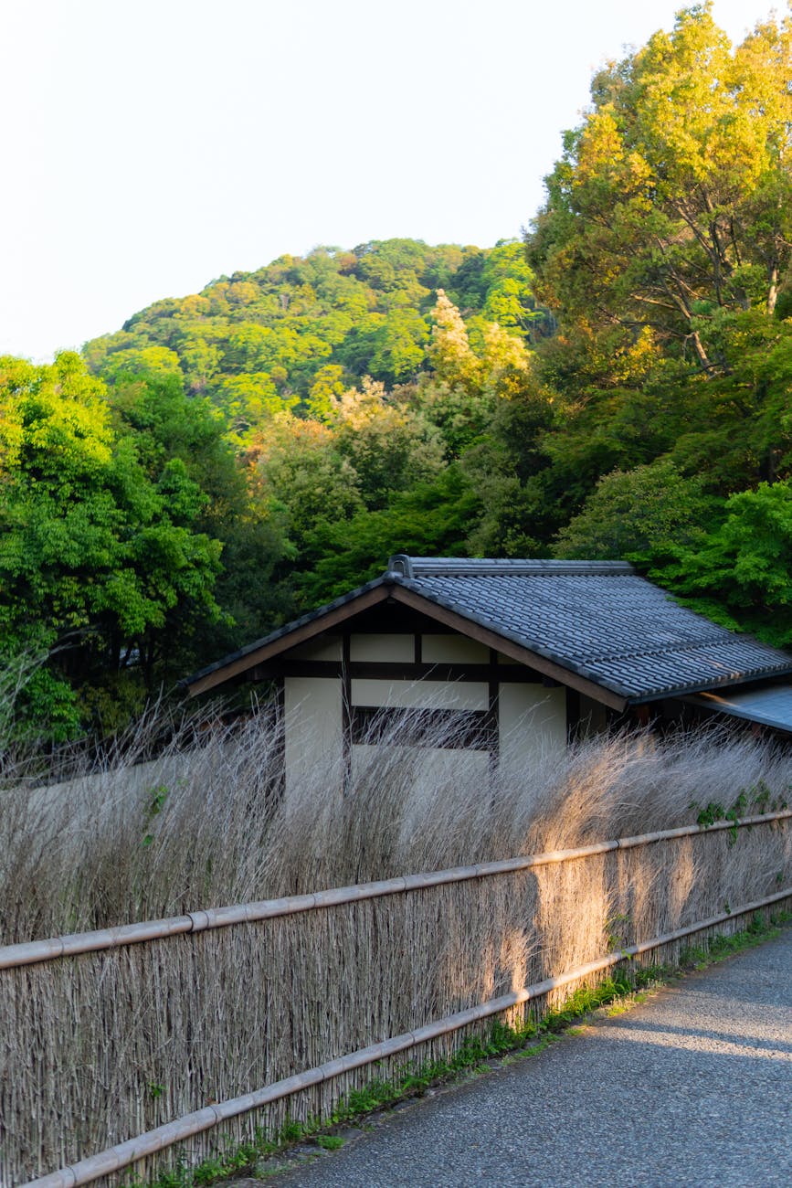 traditional japanese house in lush landscape
