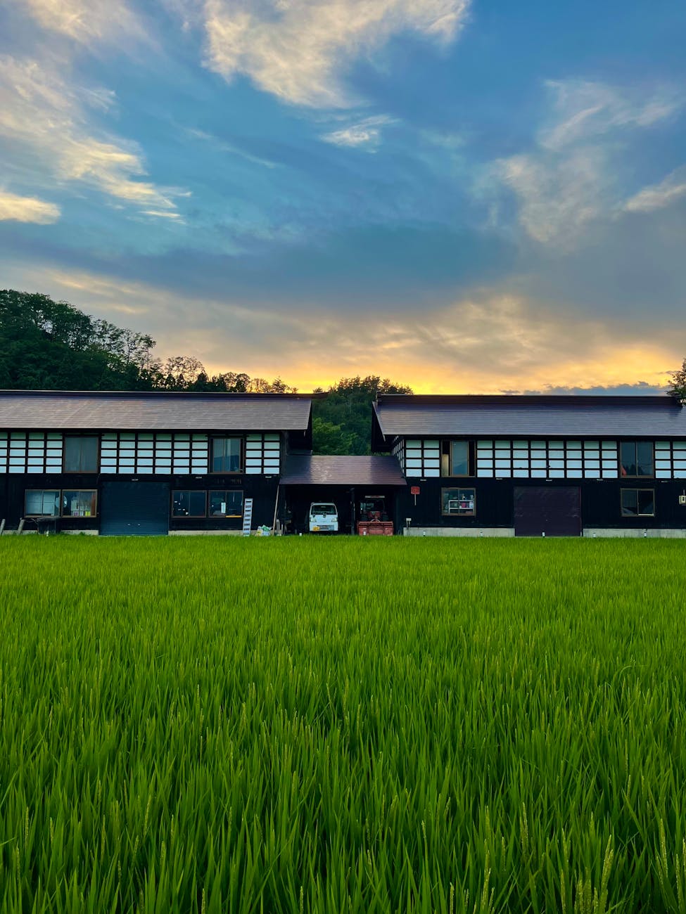 traditional japanese houses in lush countryside