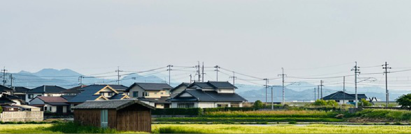 Japanese homes beside green fields
